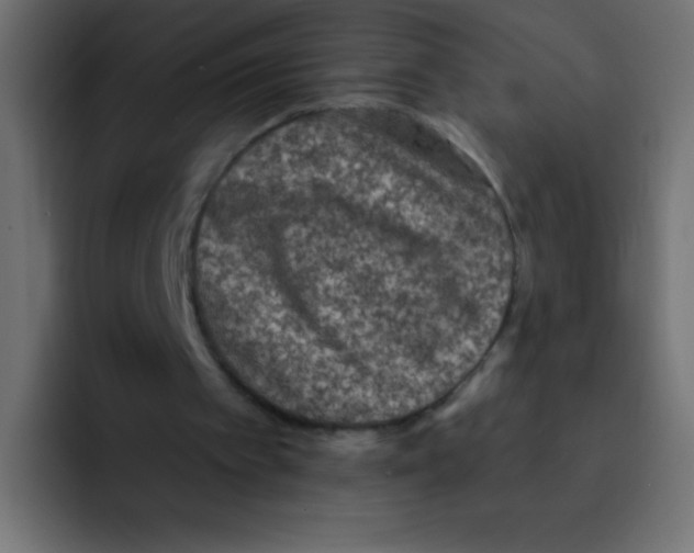 X0000092030097200710041109