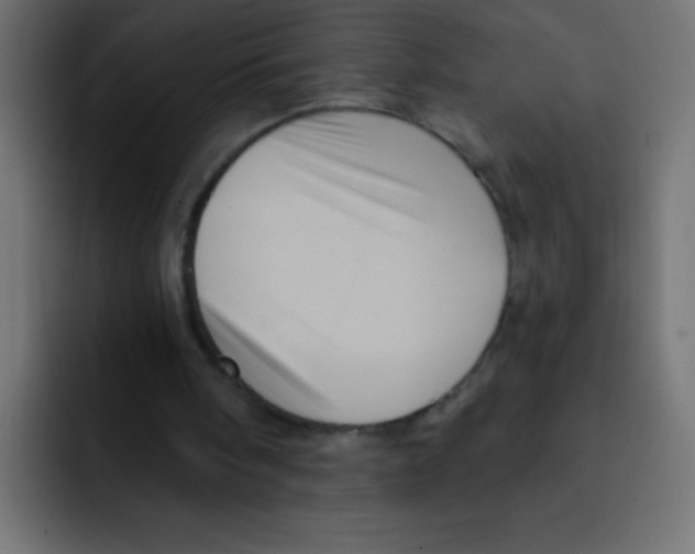 X0000092030098200710041109