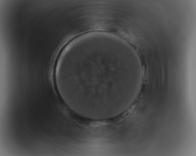 X0000092030099200710041109