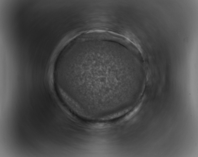 X0000092030101200710041109