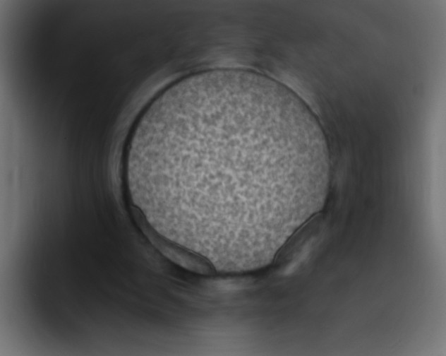 X0000092030103200710041109