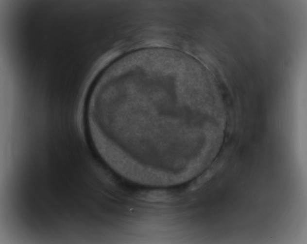 X0000092030104200710041109