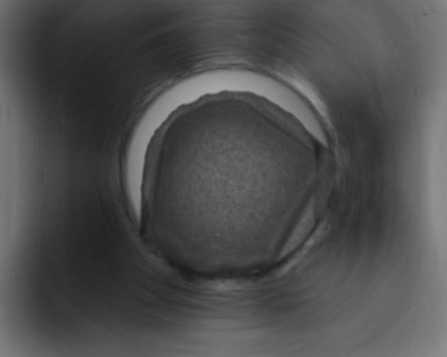 X0000092030105200710041109