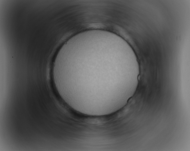 X0000092030106200710041108