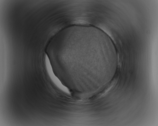 X0000092030109200710041108