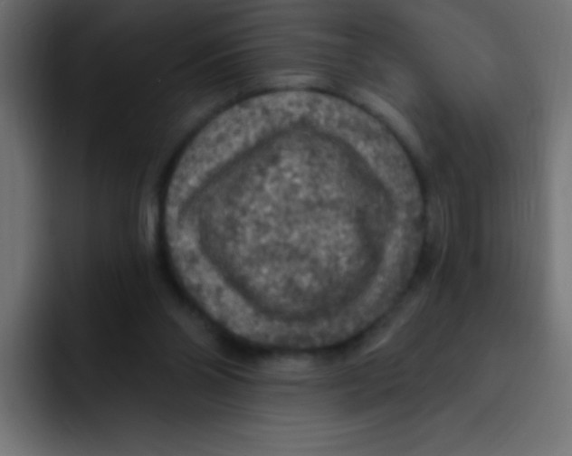 X0000092030110200710041108