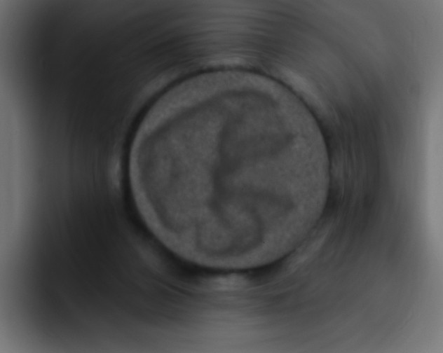 X0000092030112200710041108