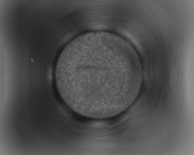 X0000092030115200710041108