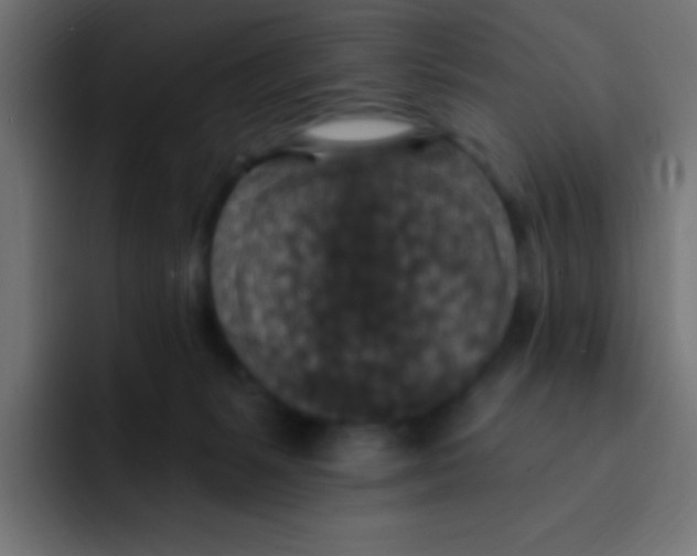 X0000092030127200710041108