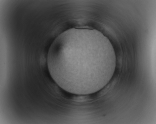 X0000092030129200710041108