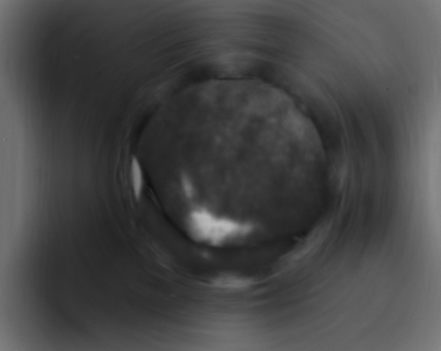 X0000092030137200710041108