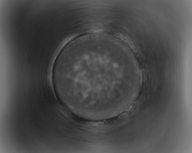 X0000092030147200710041107