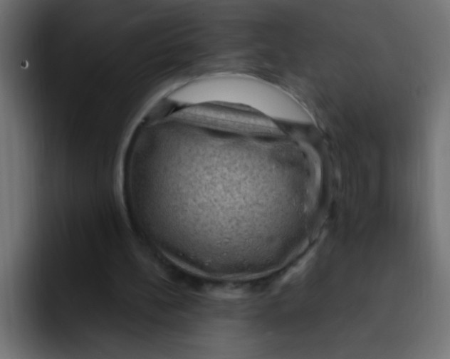 X0000092030148200710041107