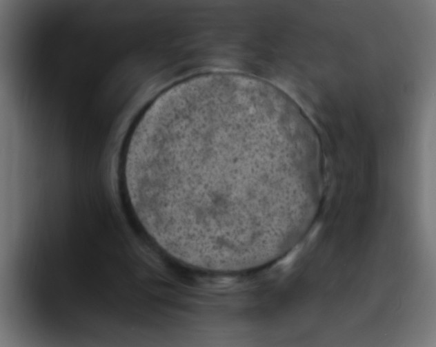 X0000092030151200710041107