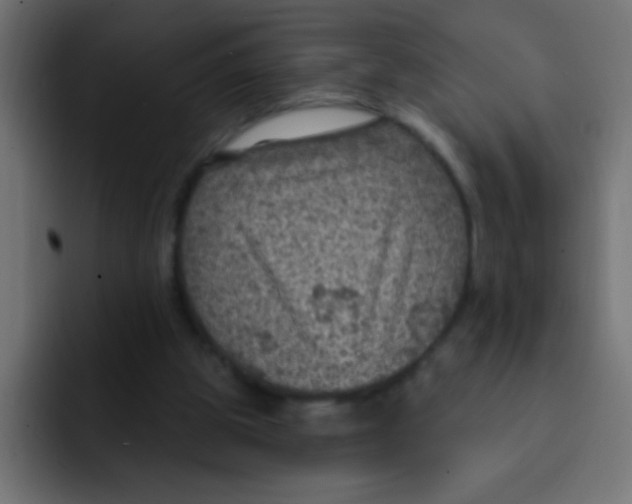 X0000092030153200710041108