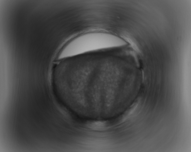 X0000092030156200710041108