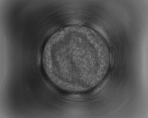 X0000092030157200710041108