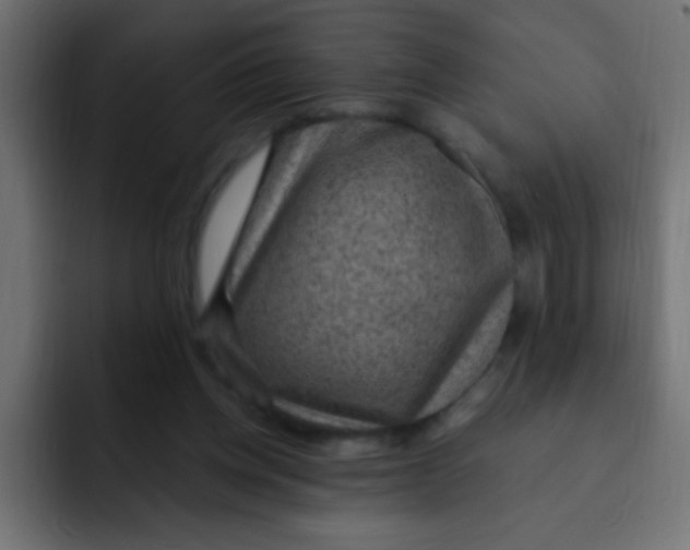 X0000092030158200710041108