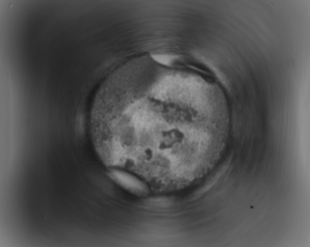 X0000092030161200710041108