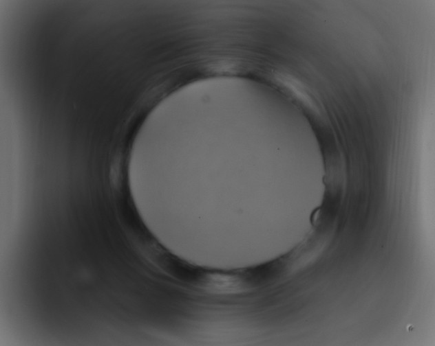 X0000092030167200710041108