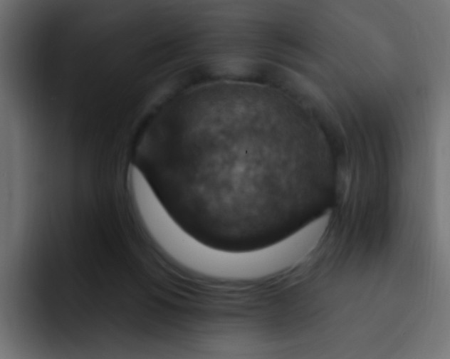 X0000092030168200710041108