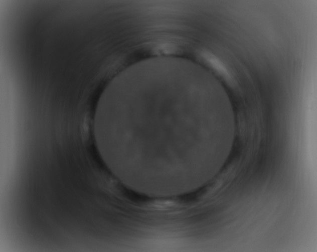 X0000092030169200710041108