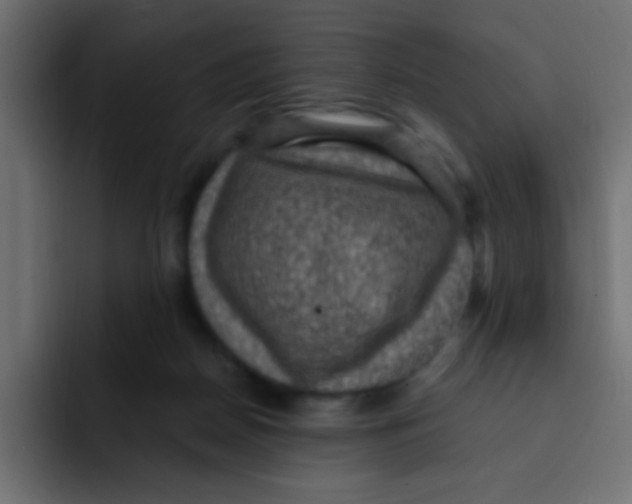 X0000092030170200710041108