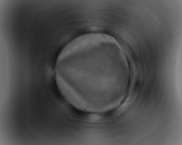 X0000092030176200710041108