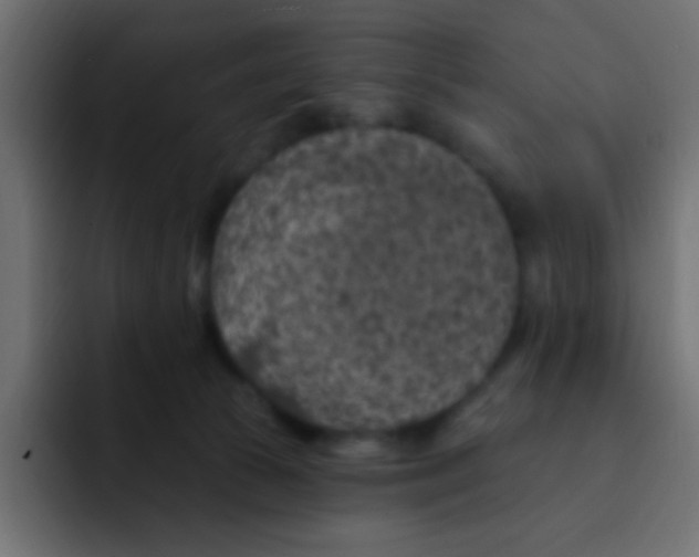 X0000092030177200710041108