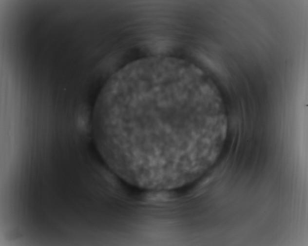 X0000092030181200710041108