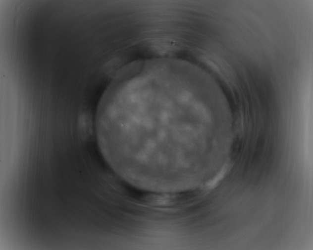 X0000092030182200710041108