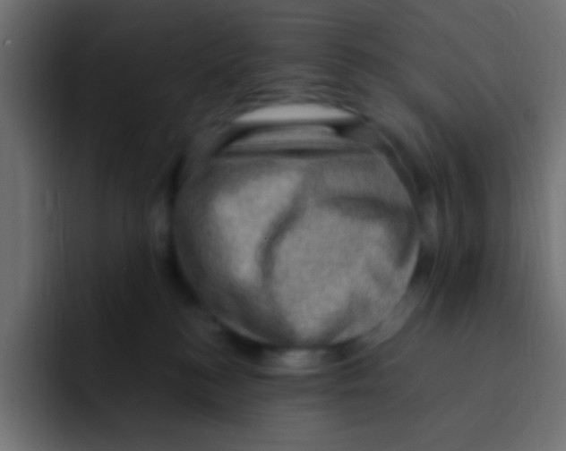 X0000092030184200710041108