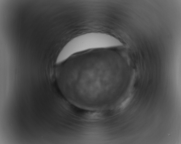 X0000092030186200710041108