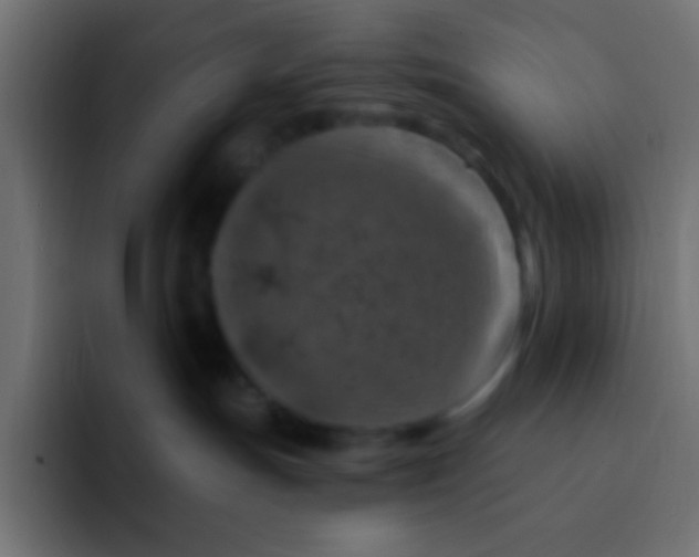 X0000092030191200710041108