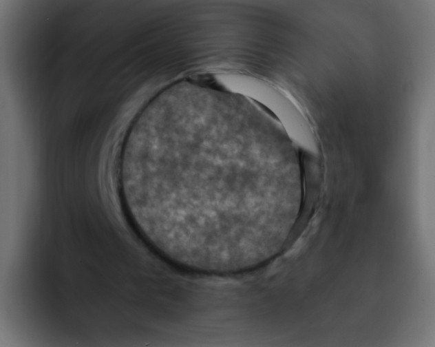 X0000092030193200710041107