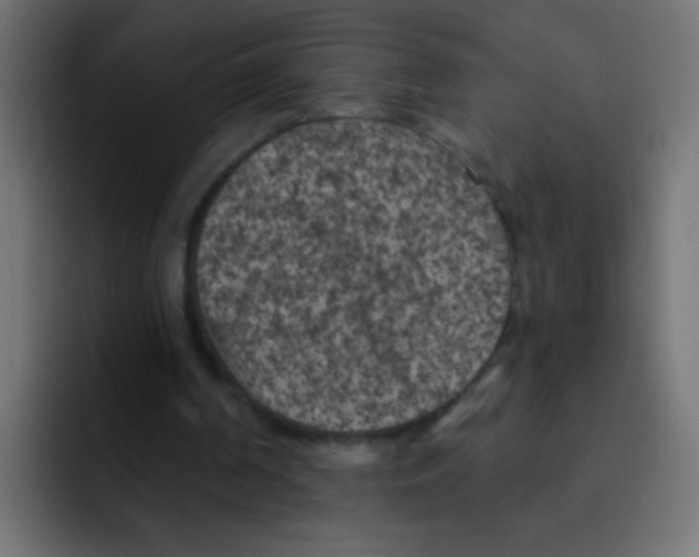 X0000092030194200710041107