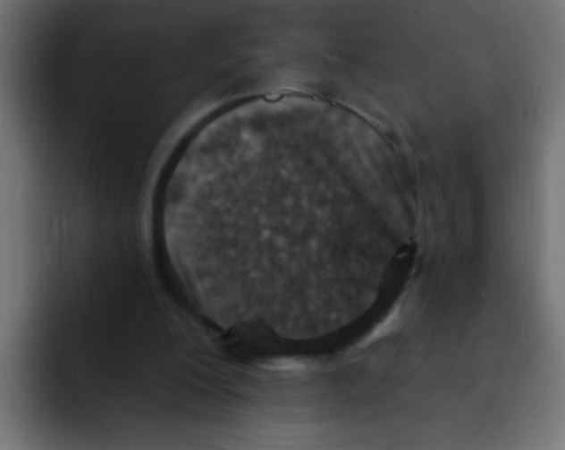 X0000092030200200710041107