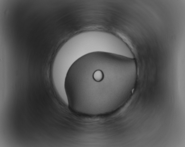 X0000092030201200710041107