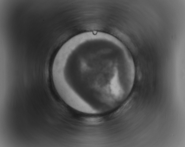 X0000092030202200710041107