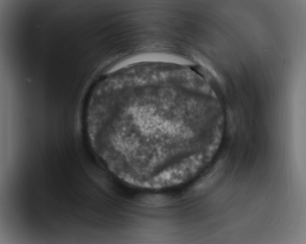 X0000092030203200710041107