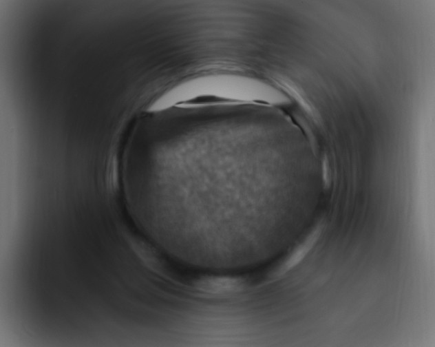 X0000092030205200710041107