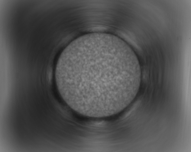 X0000092030206200710041107