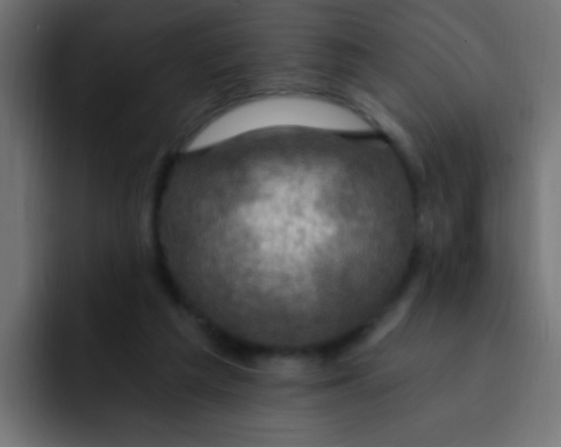 X0000092030209200710041107