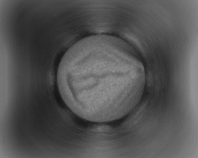 X0000092030210200710041107