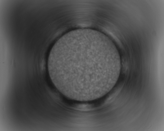 X0000092030212200710041107