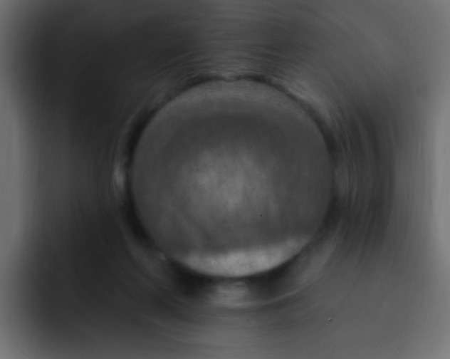 X0000092030214200710041107