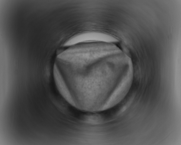 X0000092030215200710041107