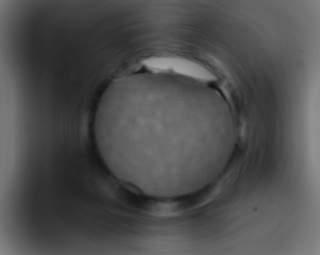 X0000092030217200710041107