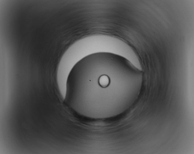 X0000092030219200710041107