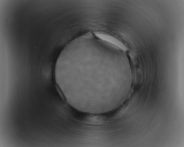 X0000092030221200710041107